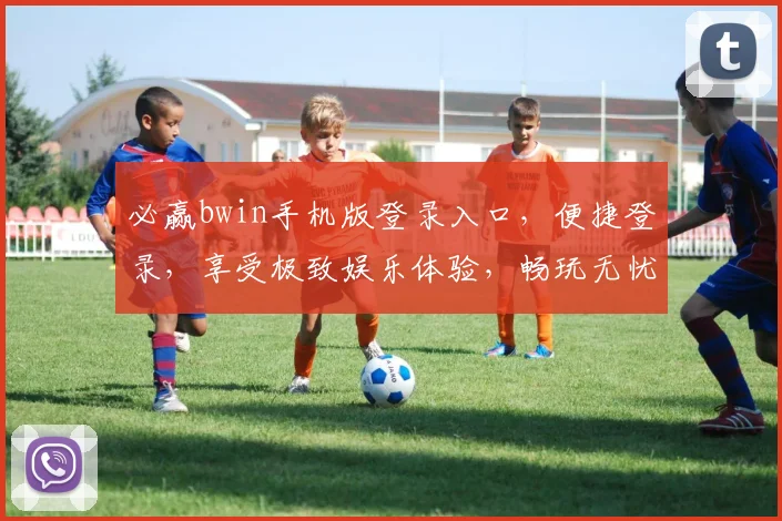 必赢bwin手机版登录入口，便捷登录，享受极致娱乐体验，畅玩无忧