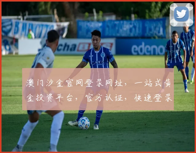 澳门沙金官网登录网址，一站式黄金投资平台，官方认证，快速登录，享受专业服务